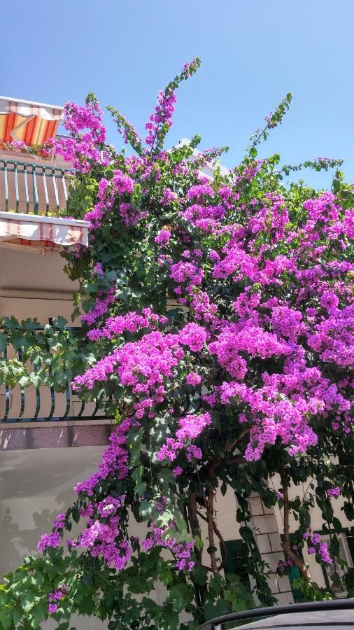 Mirjana Apartman Vodice Exterior photo